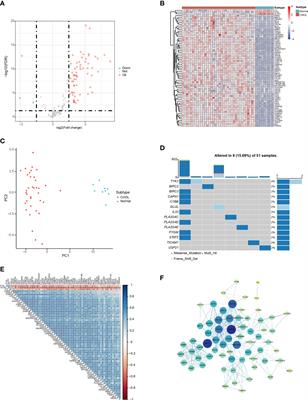 Identification of a necroptosis-related gene signature as a novel prognostic biomarker of <mark class="highlighted">chol</mark>angiocarcinoma